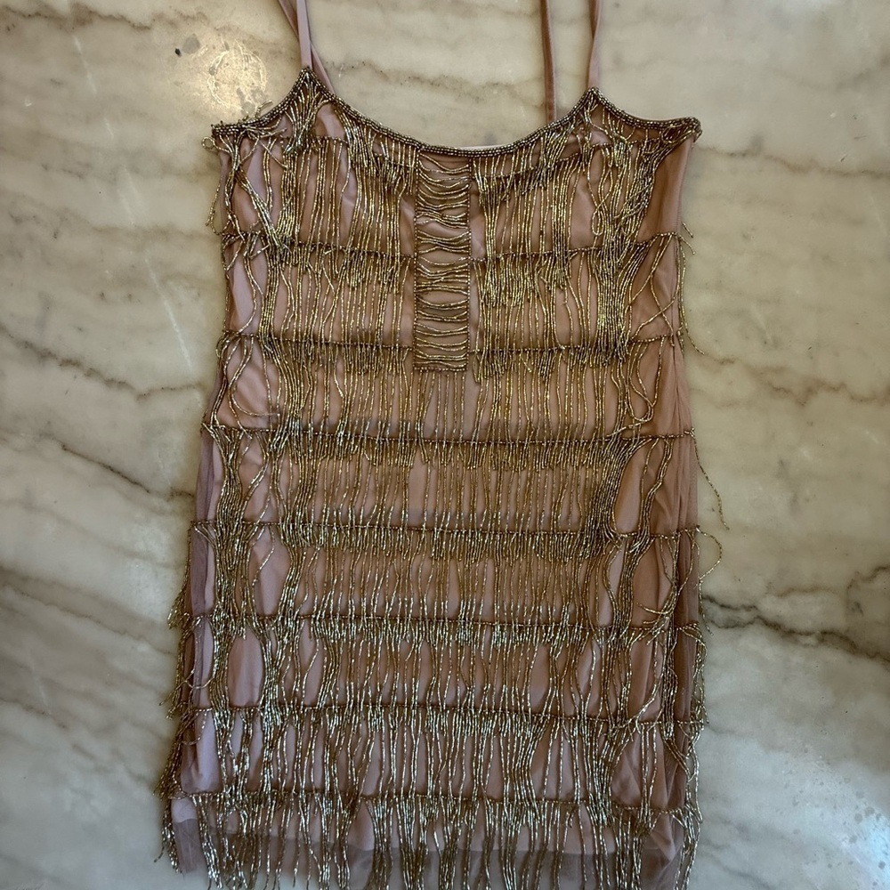 NWT Adrianna Papell Beaded Fringe Mesh Slip dress rose gold size 14 - Picture 2 of 14